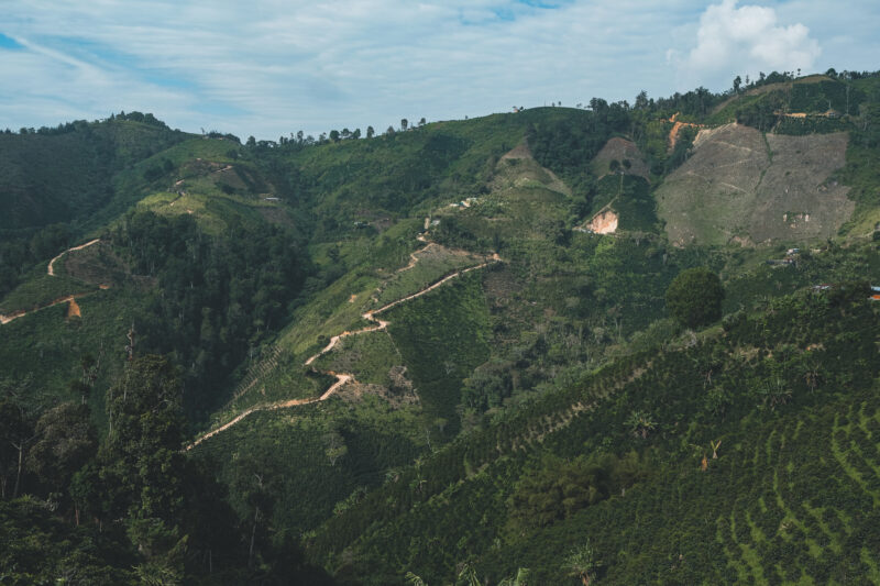 Die Finca Piragua in Kolumbien